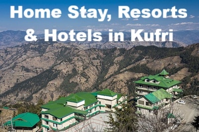 Home Stay, Resorts & Hotels in Kufri
